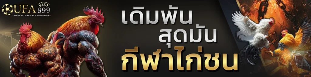 ไก่ชนออนไลน์